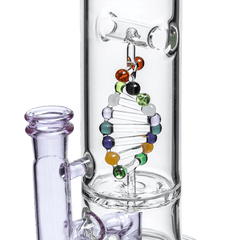 DNA DAB RIG